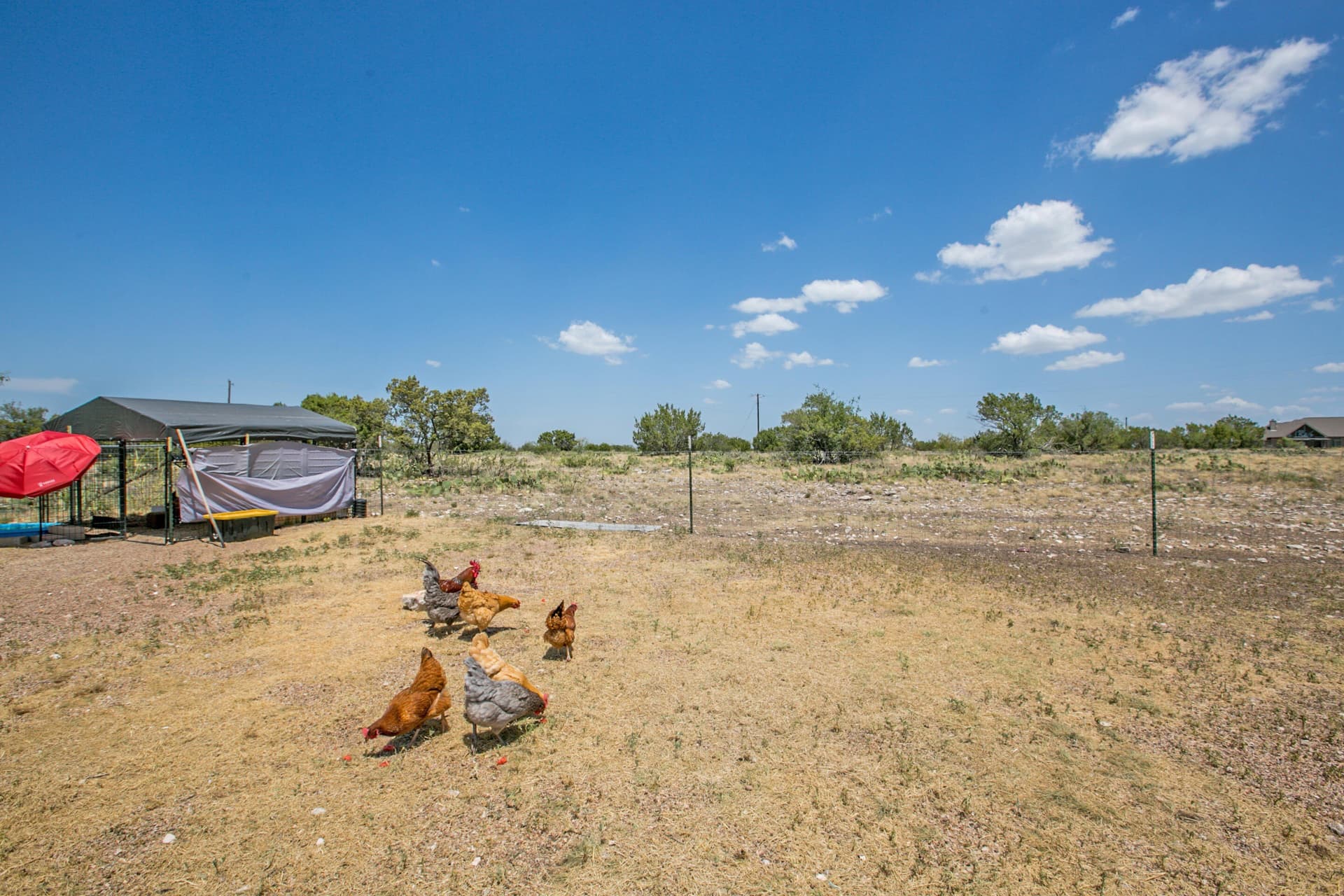 10 acres in Tom Green County - photo 35