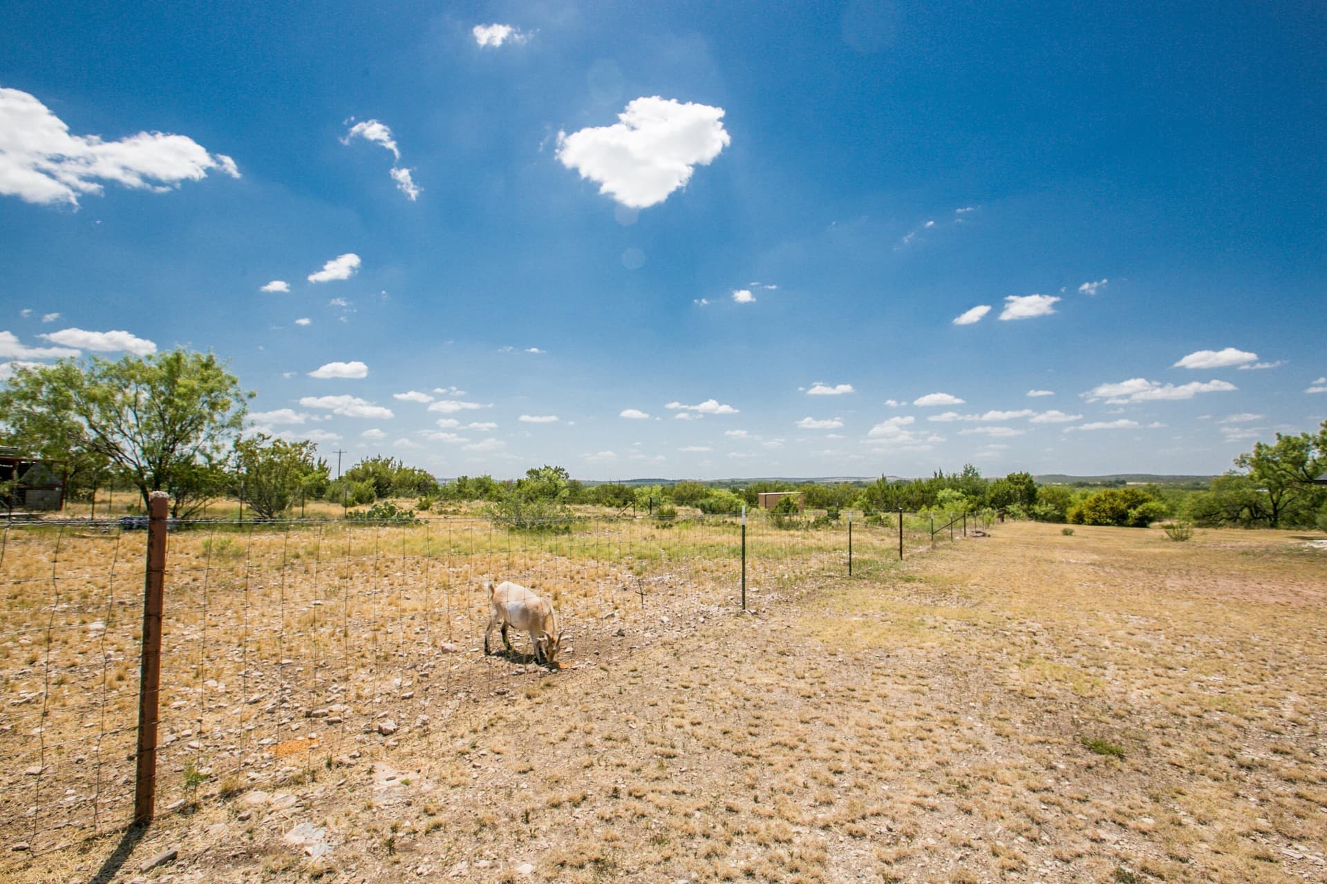 10 acres in Tom Green County - photo 9