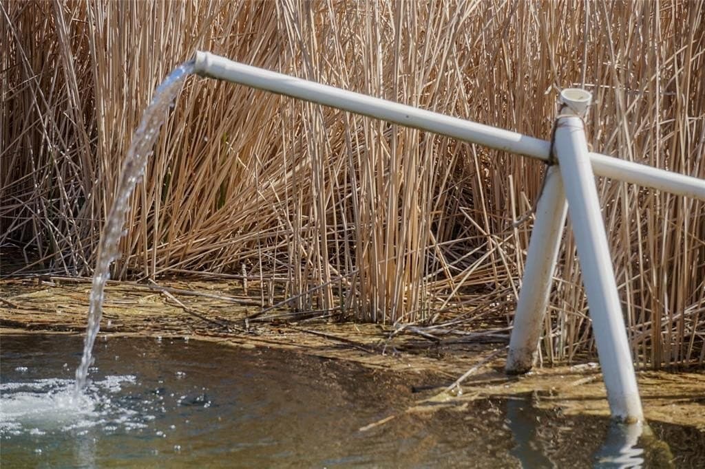 52.32 acres in Jones County gallery image 3