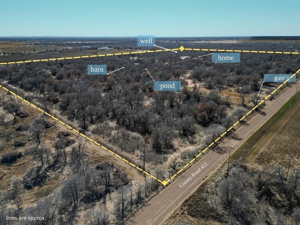 52.32 acres in Jones County gallery image 4