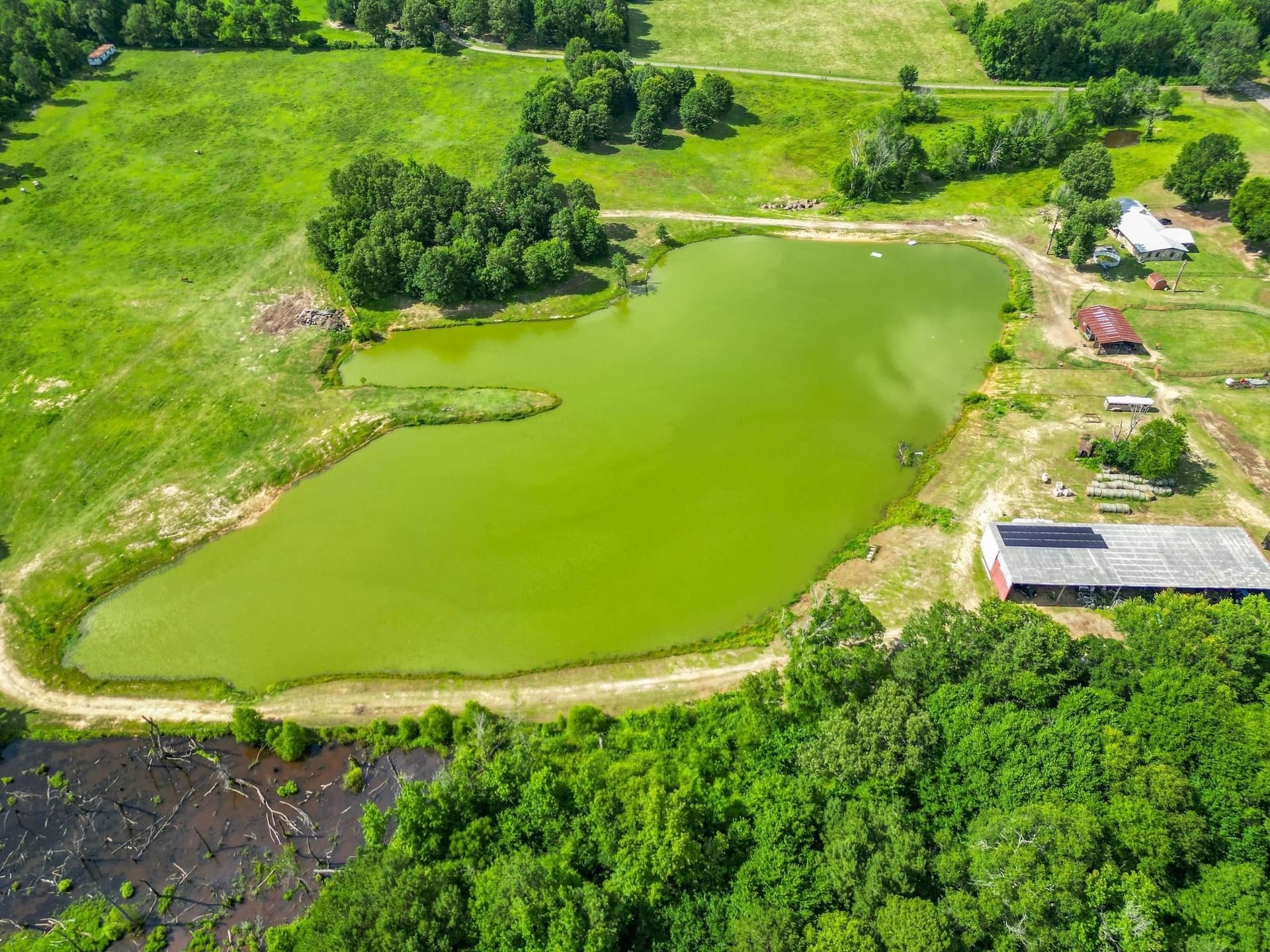 10 acres in Cass County - photo 8