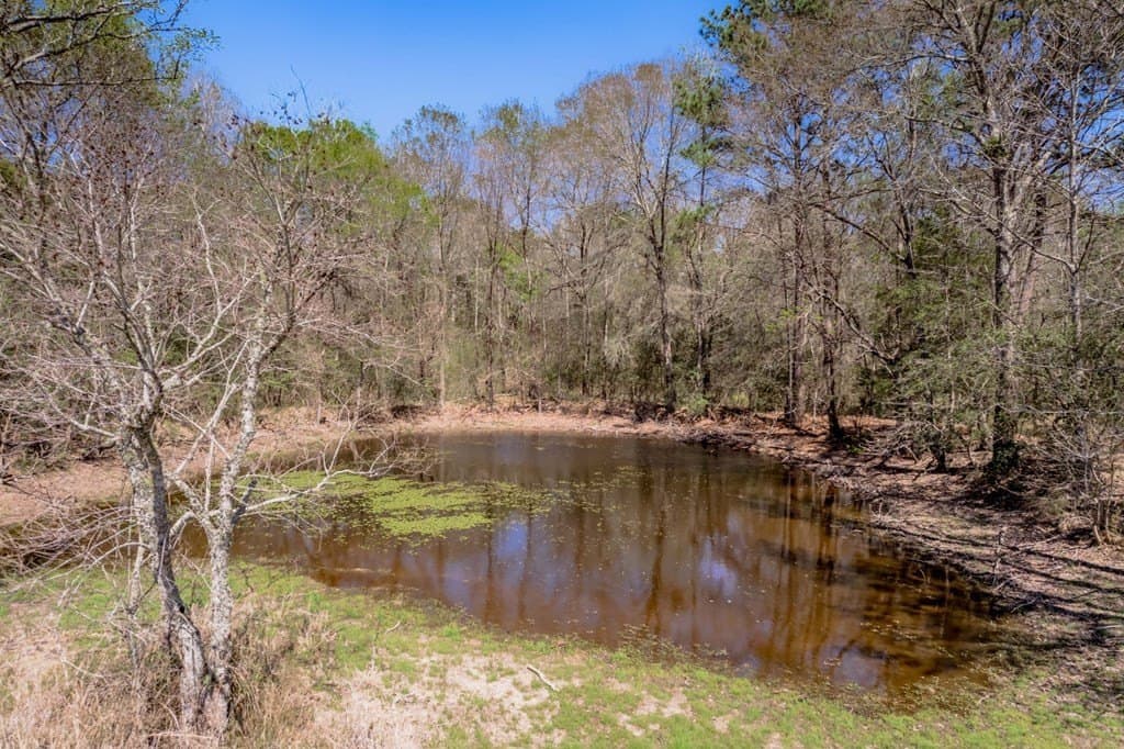 10 acres in Texas County - photo 41