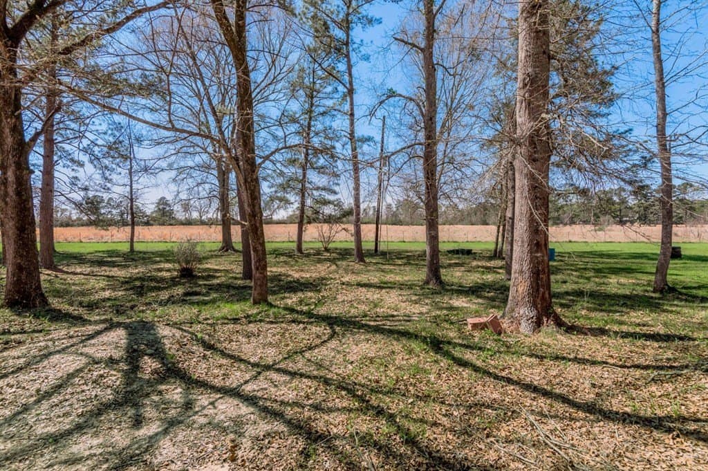 10 acres in Texas County - photo 33