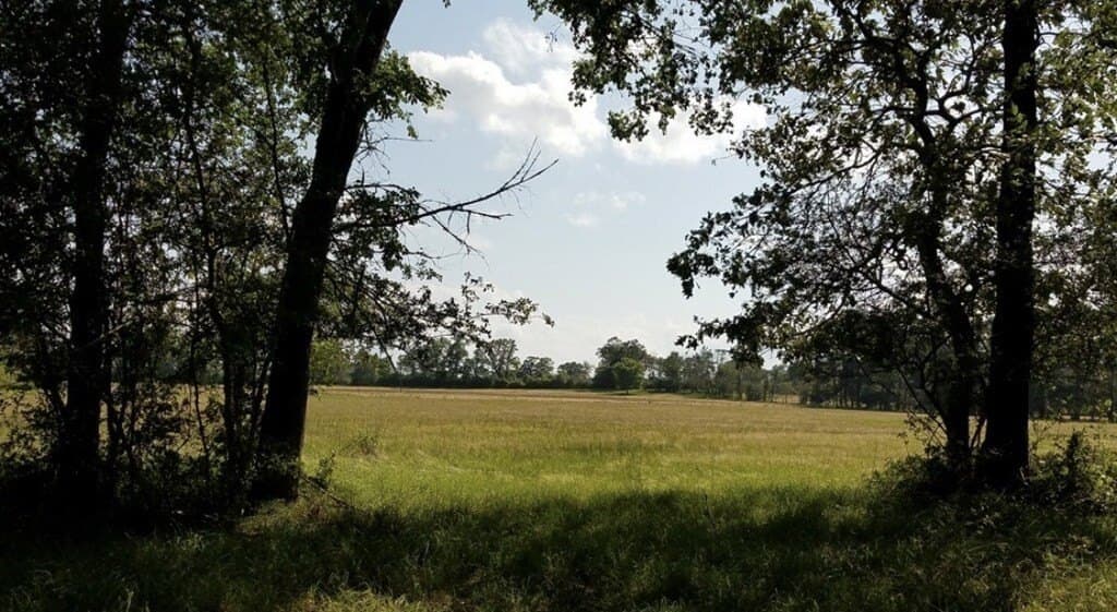 10 acres in Texas County - photo 34