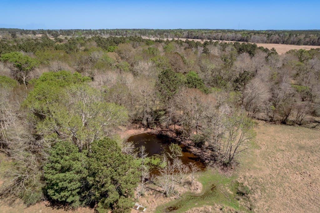 10 acres in Texas County - photo 40