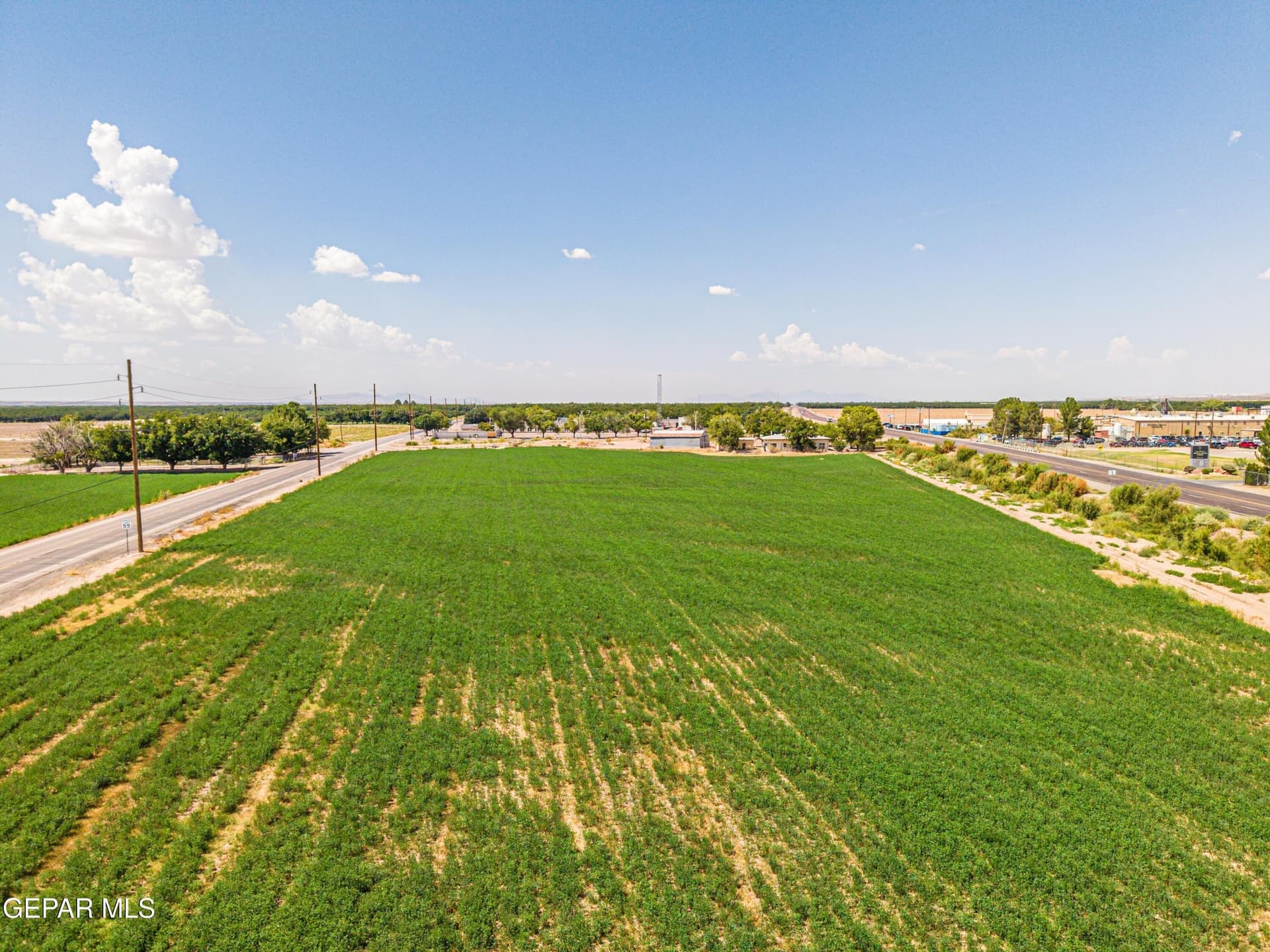 6.42 acres in El Paso County - photo 8
