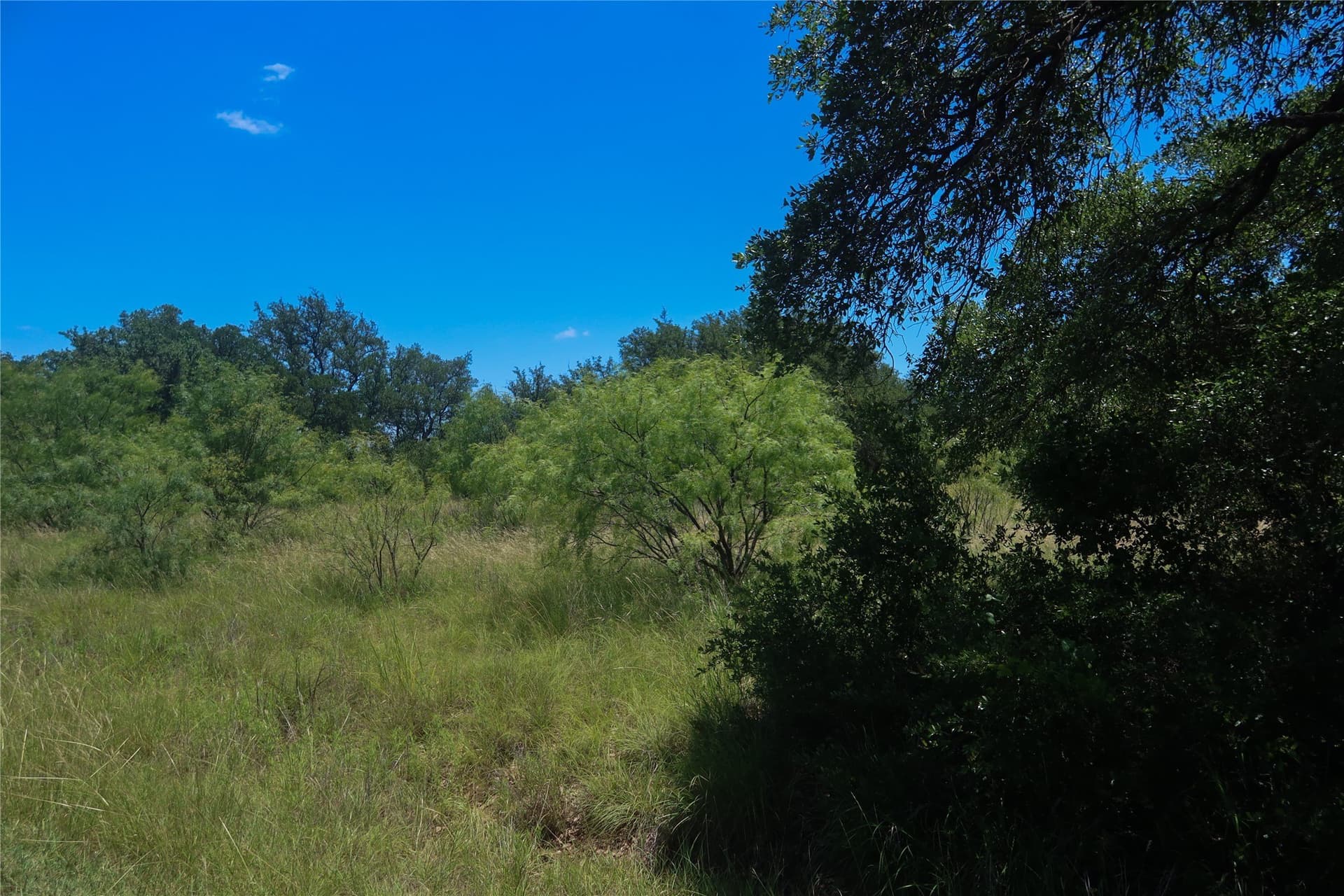 0.52 acres in Brown County gallery image 4