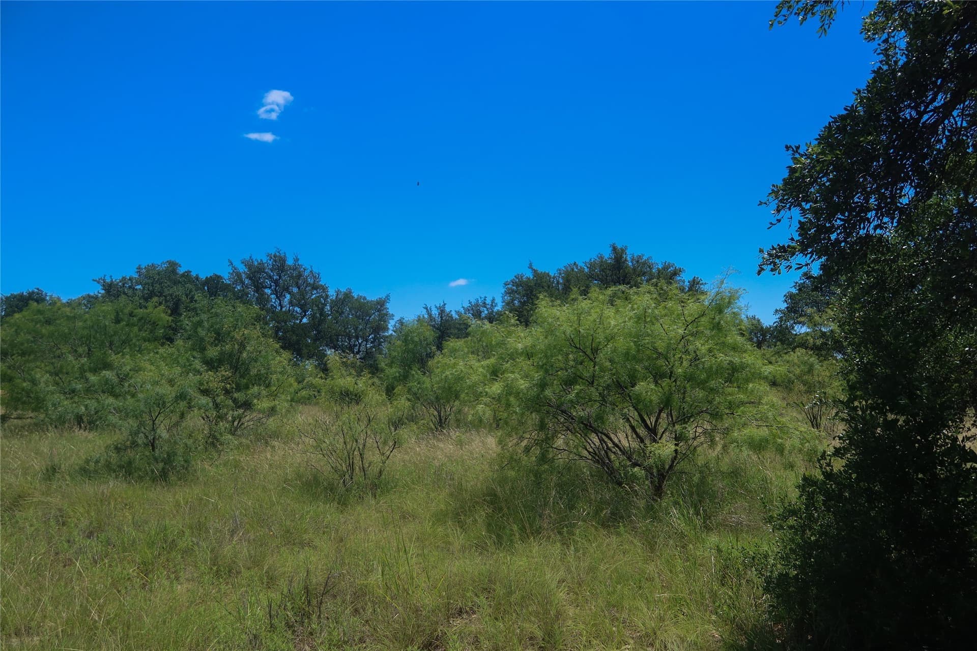 0.52 acres in Brown County gallery image 2