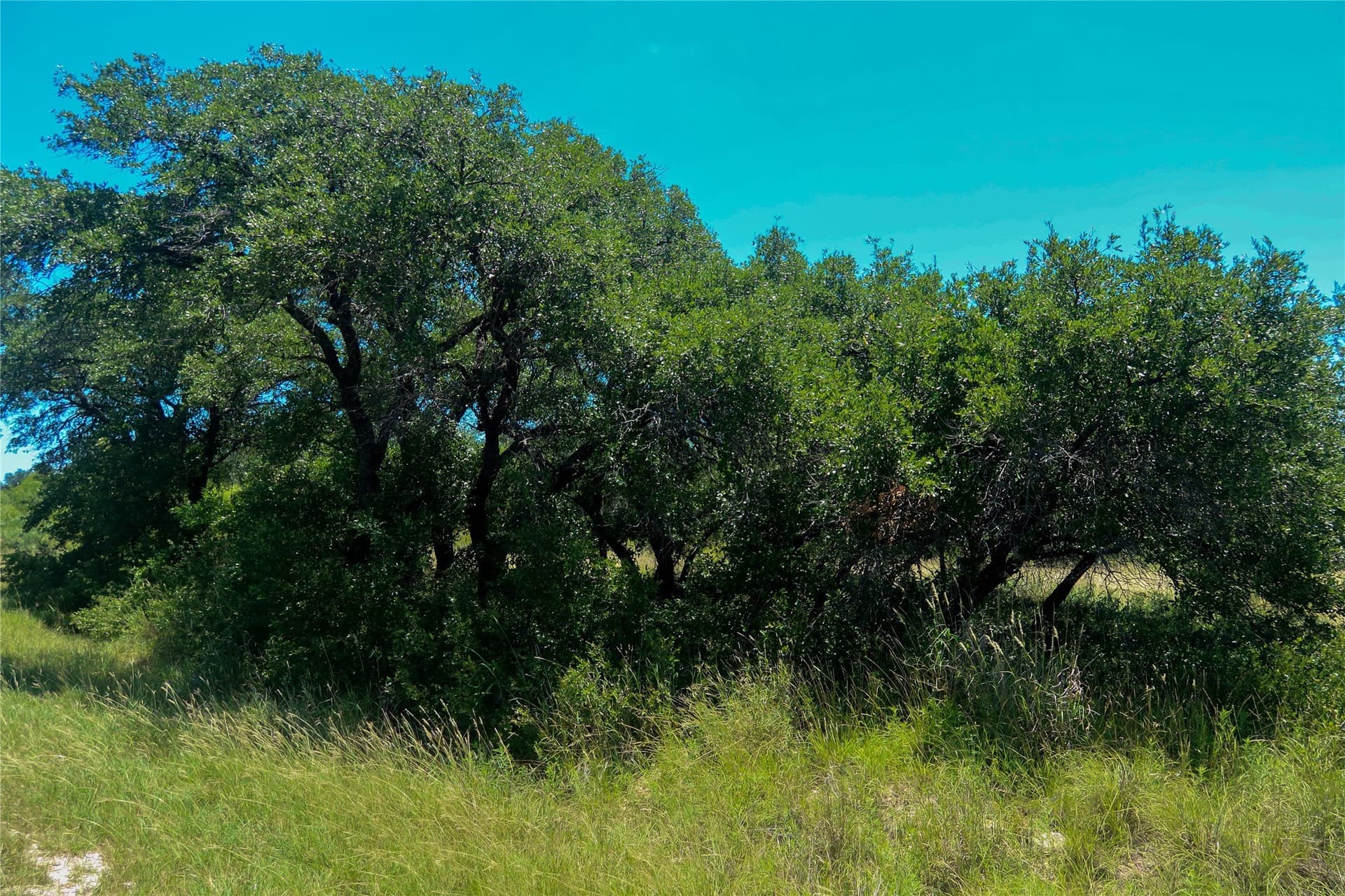 0.52 acres in Brown County - photo 7