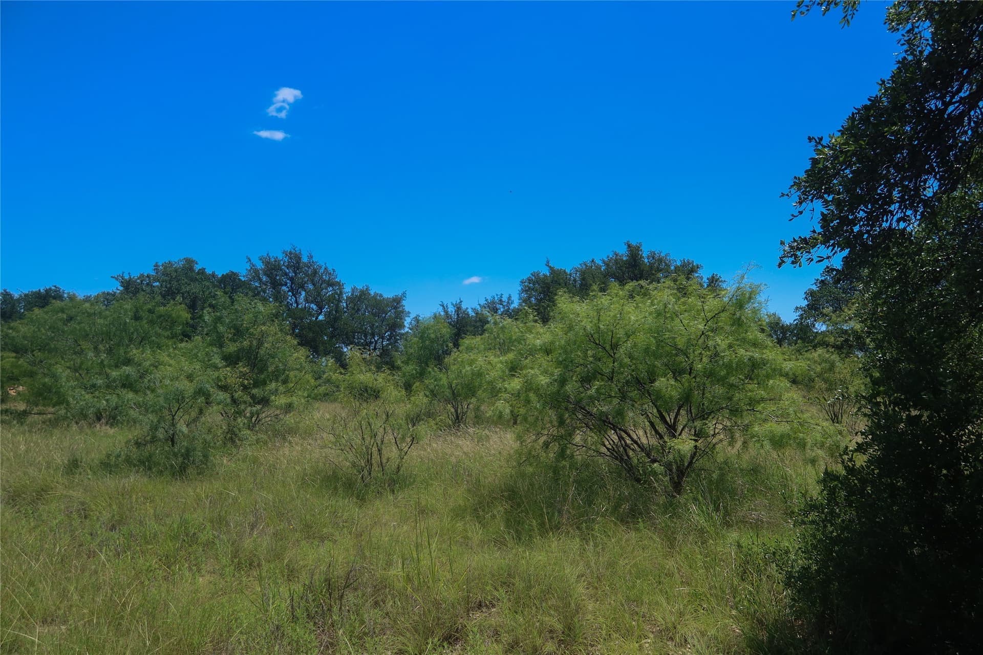 0.52 acres in Brown County gallery image 3