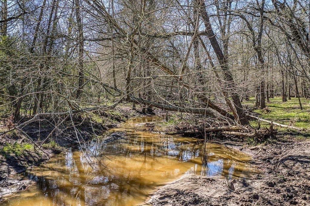 21.58 acres in Fayette County gallery image 3