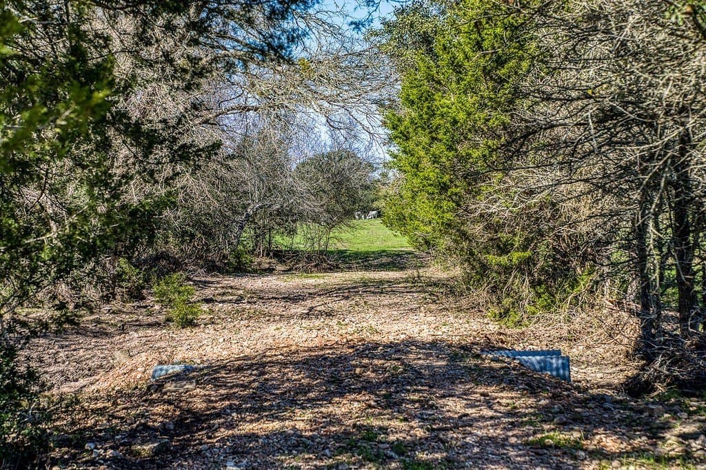21.58 acres in Fayette County gallery image 2