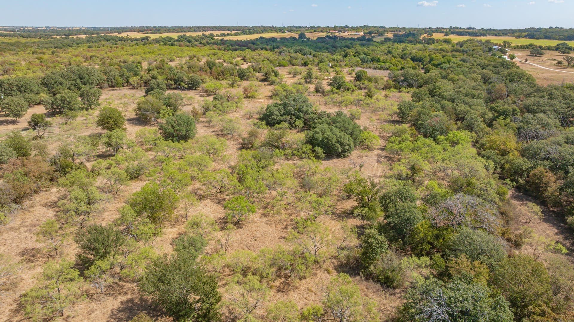 41.03 acres in Erath County - photo 35
