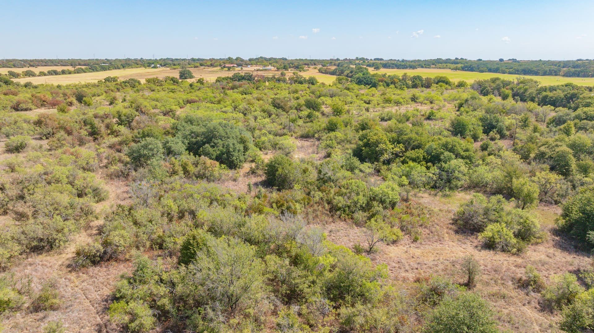 41.03 acres in Erath County - photo 29