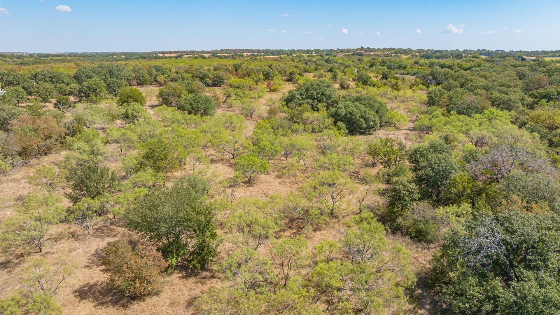 41.03 acres in Erath County - photo 9