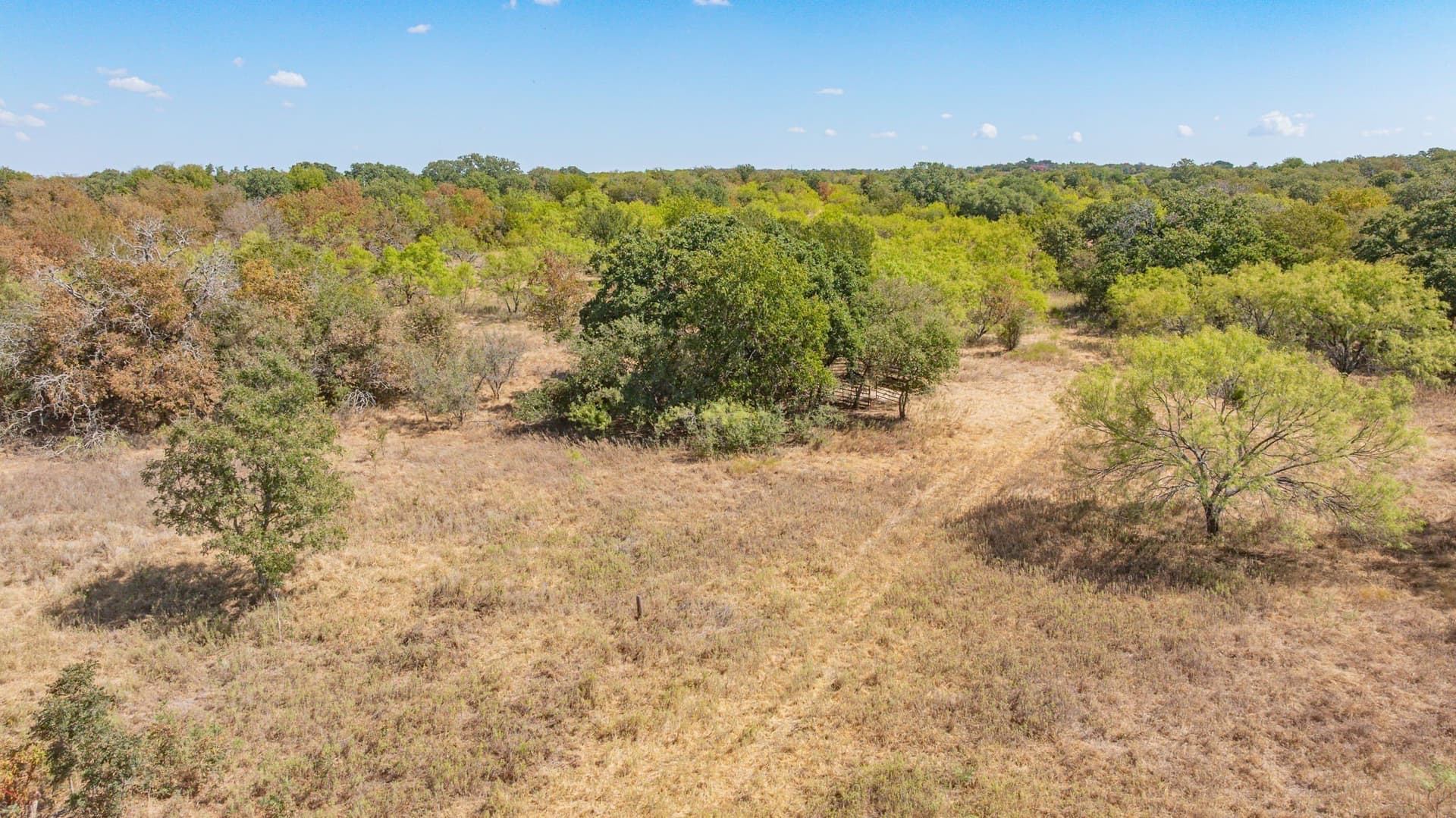 41.03 acres in Erath County - photo 10