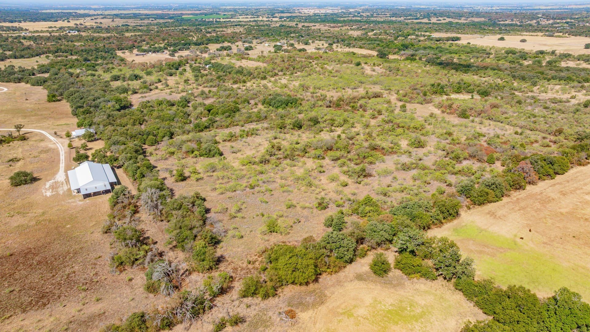 41.03 acres in Erath County - photo 16