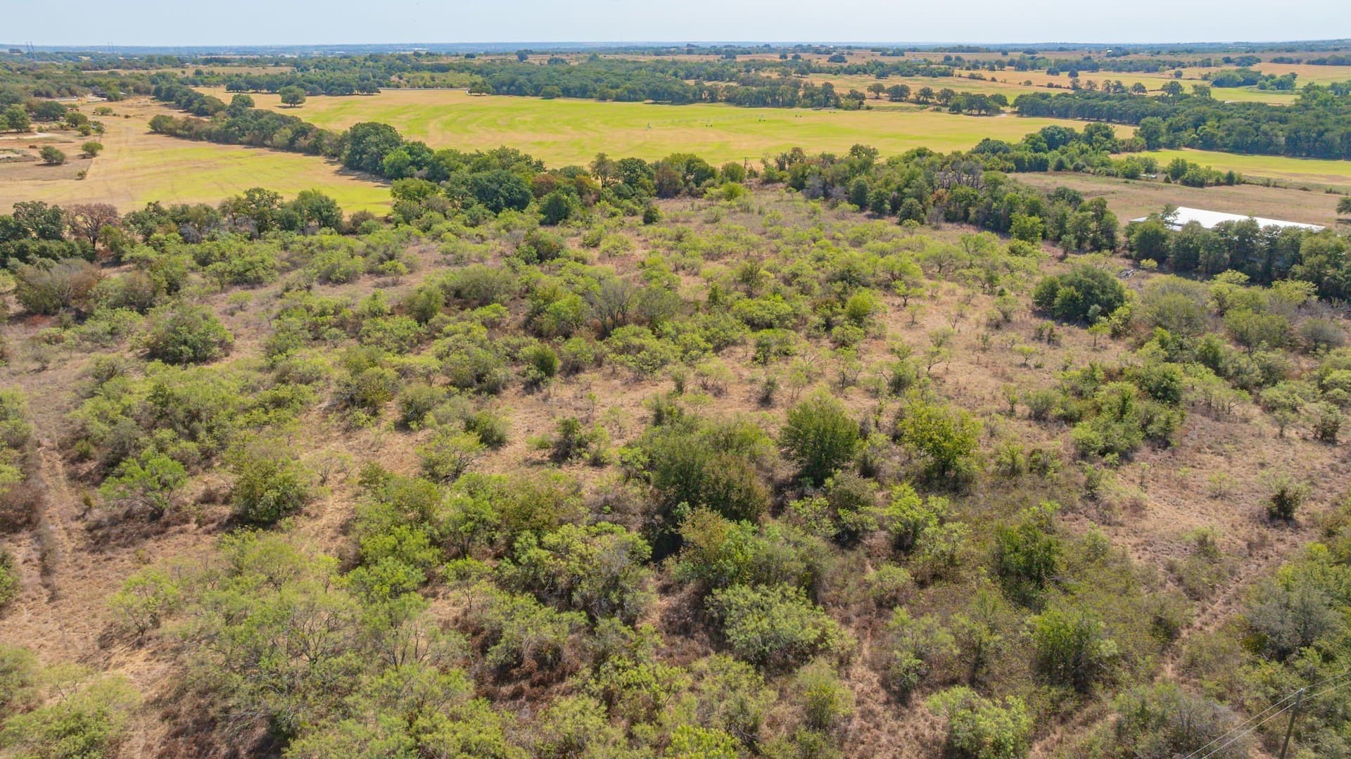 41.03 acres in Erath County - photo 21