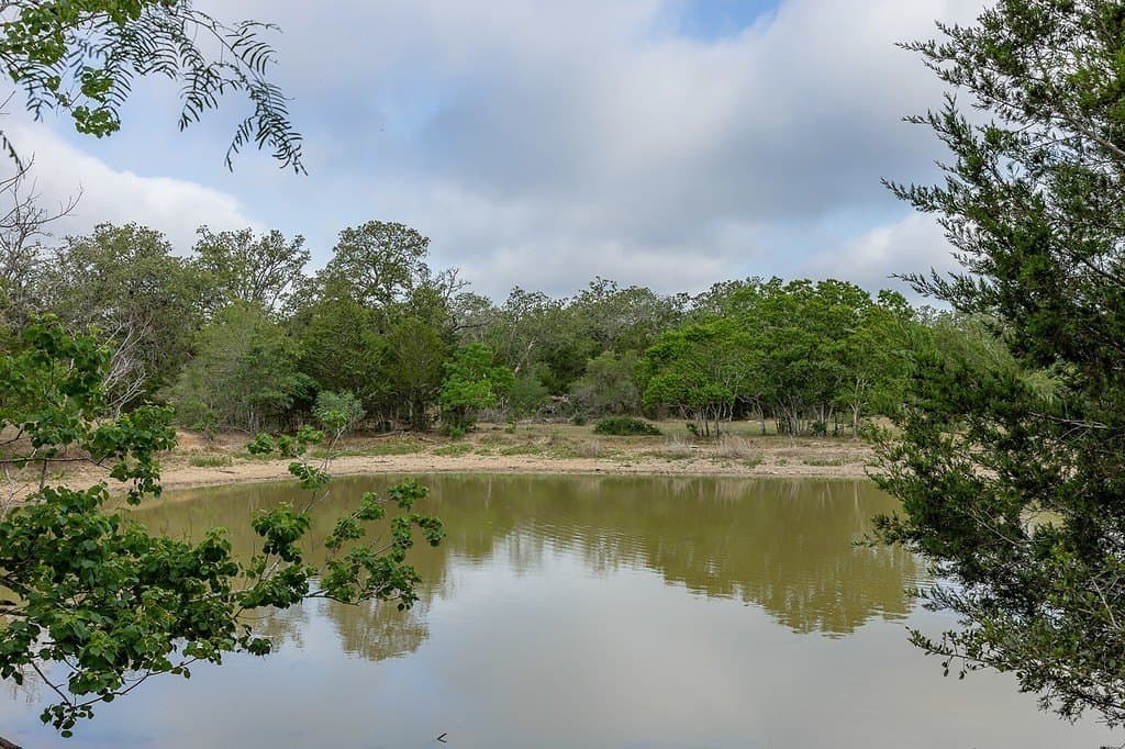 263.24 acres in Lavaca County gallery image 2