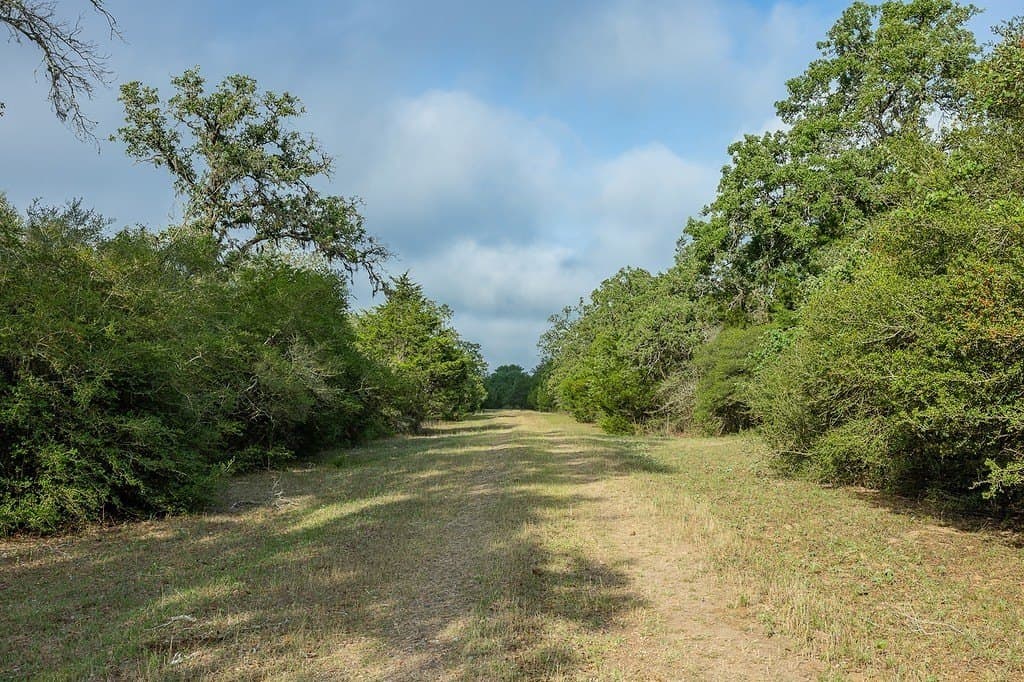 263.24 acres in Lavaca County gallery image 3