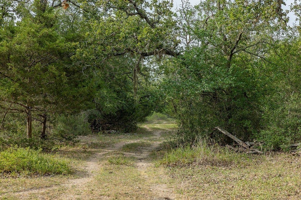 263.24 acres in Lavaca County featured view