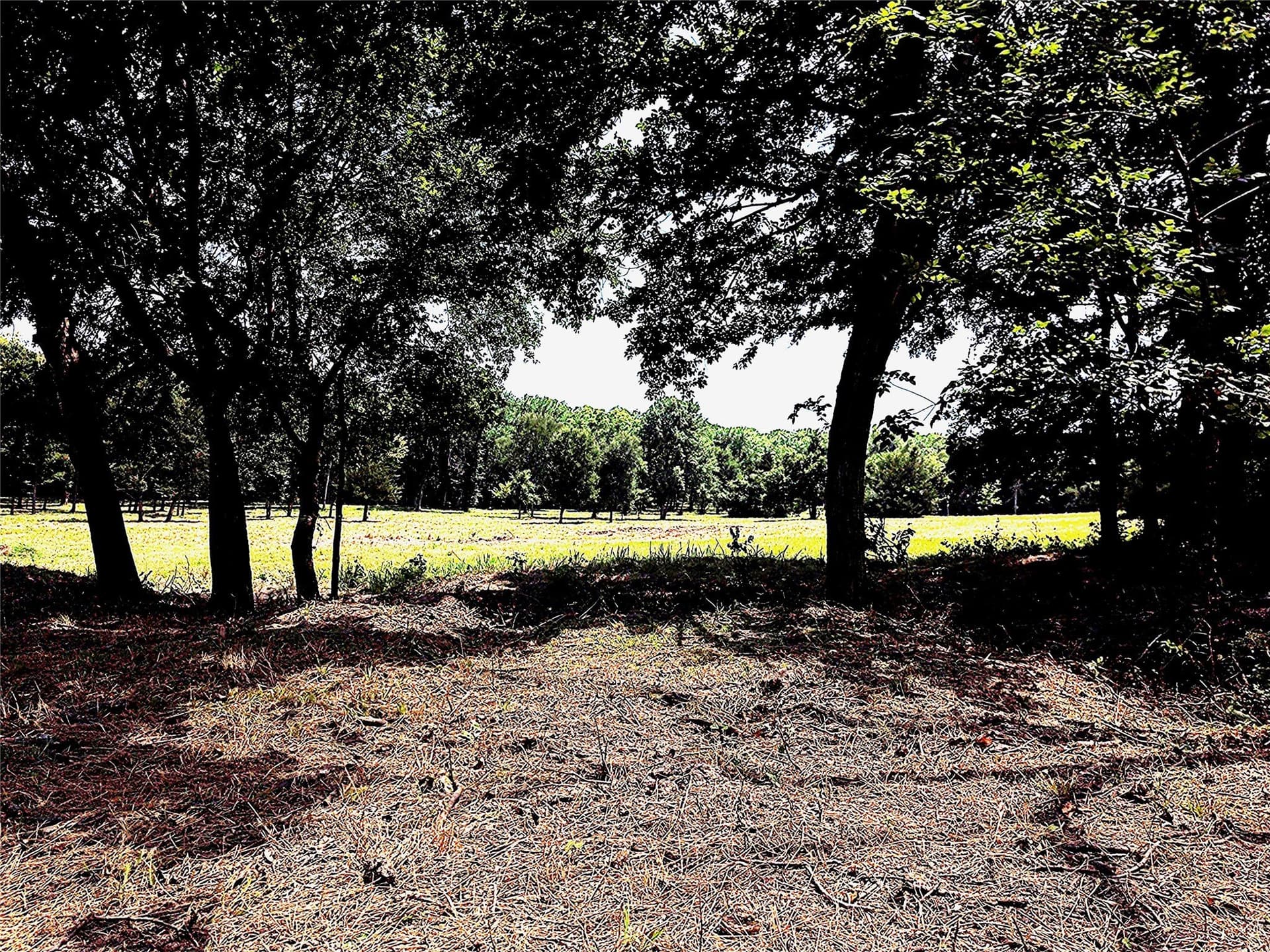 12.31 acres in Grayson County - photo 2