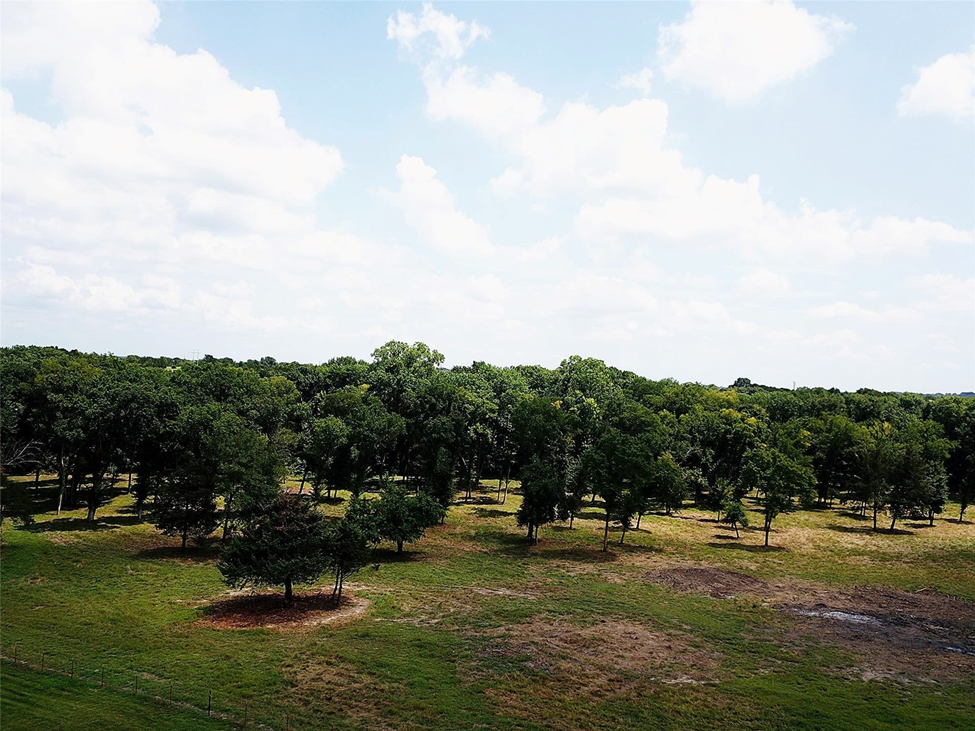 12.31 acres in Grayson County - photo 6