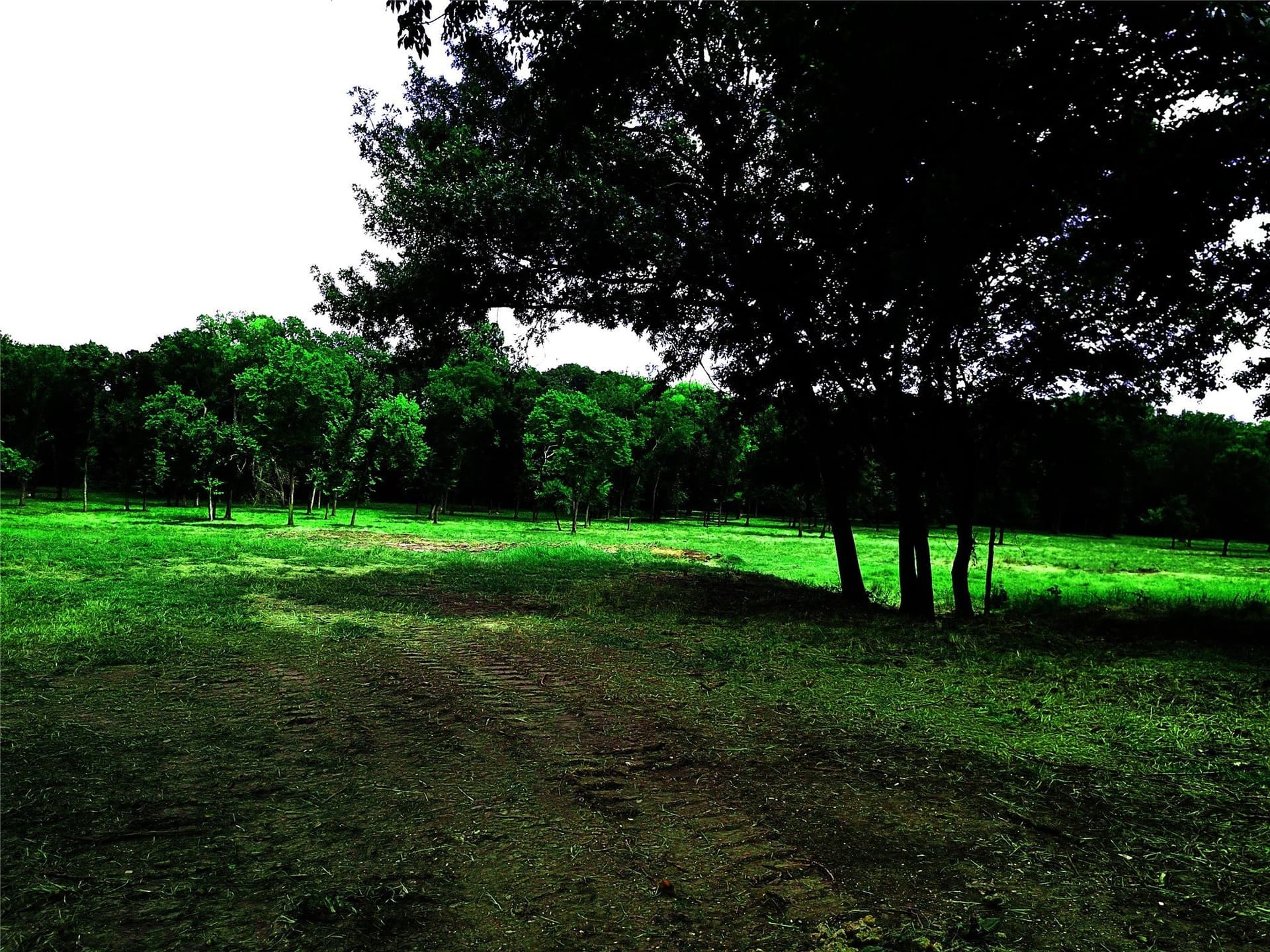 12.31 acres in Grayson County - photo 7