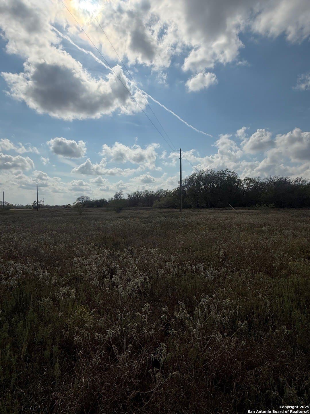 108.19 acres in De Witt County gallery image 3