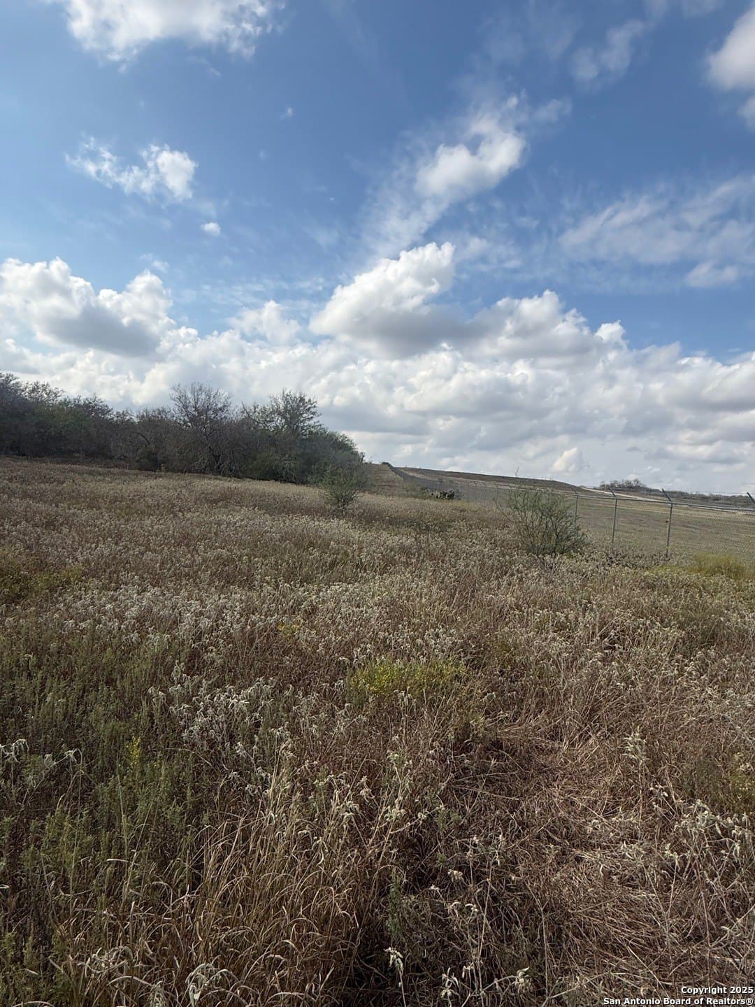 108.19 acres in De Witt County gallery image 4