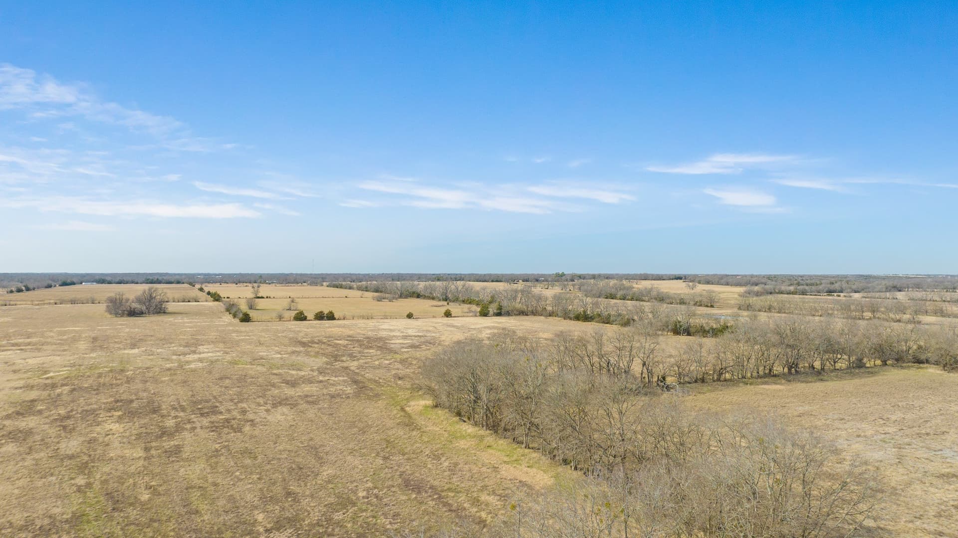 38.96 acres in Lamar County - photo 6