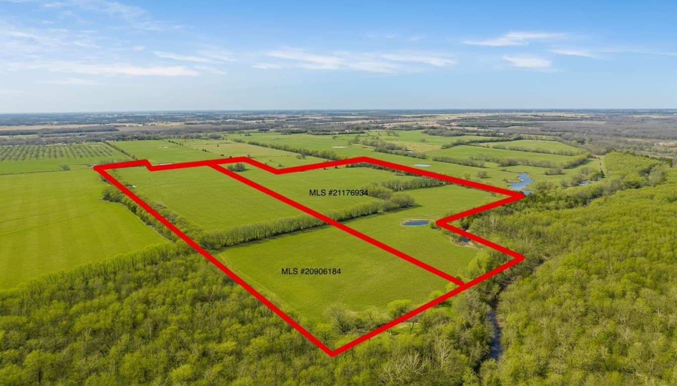 38.96 acres in Lamar County - photo 3