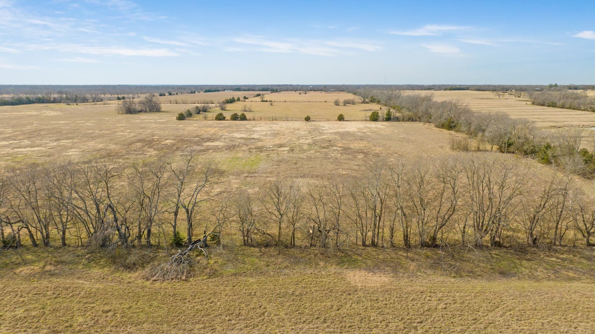 38.96 acres in Lamar County - photo 17