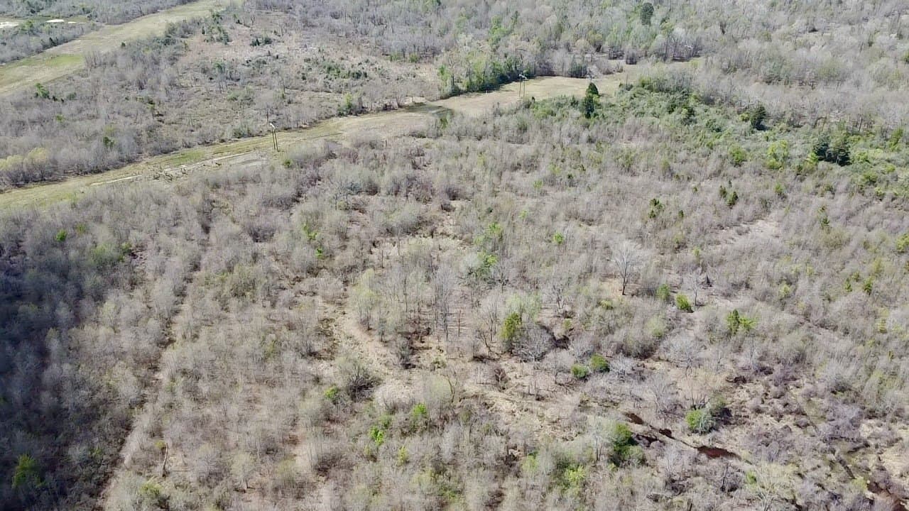 159.7 acres in Harrison County - photo 8