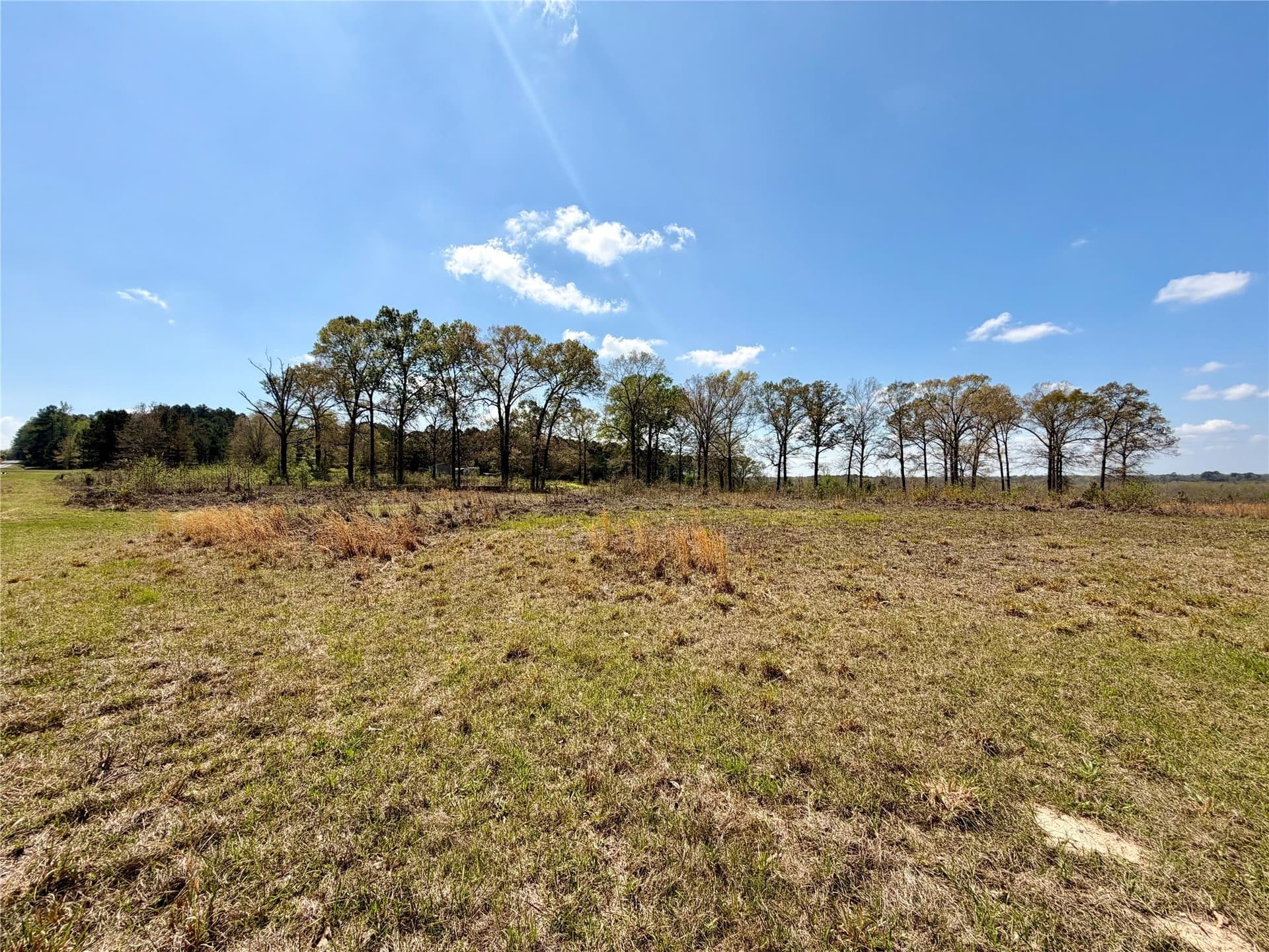 159.7 acres in Harrison County - photo 16