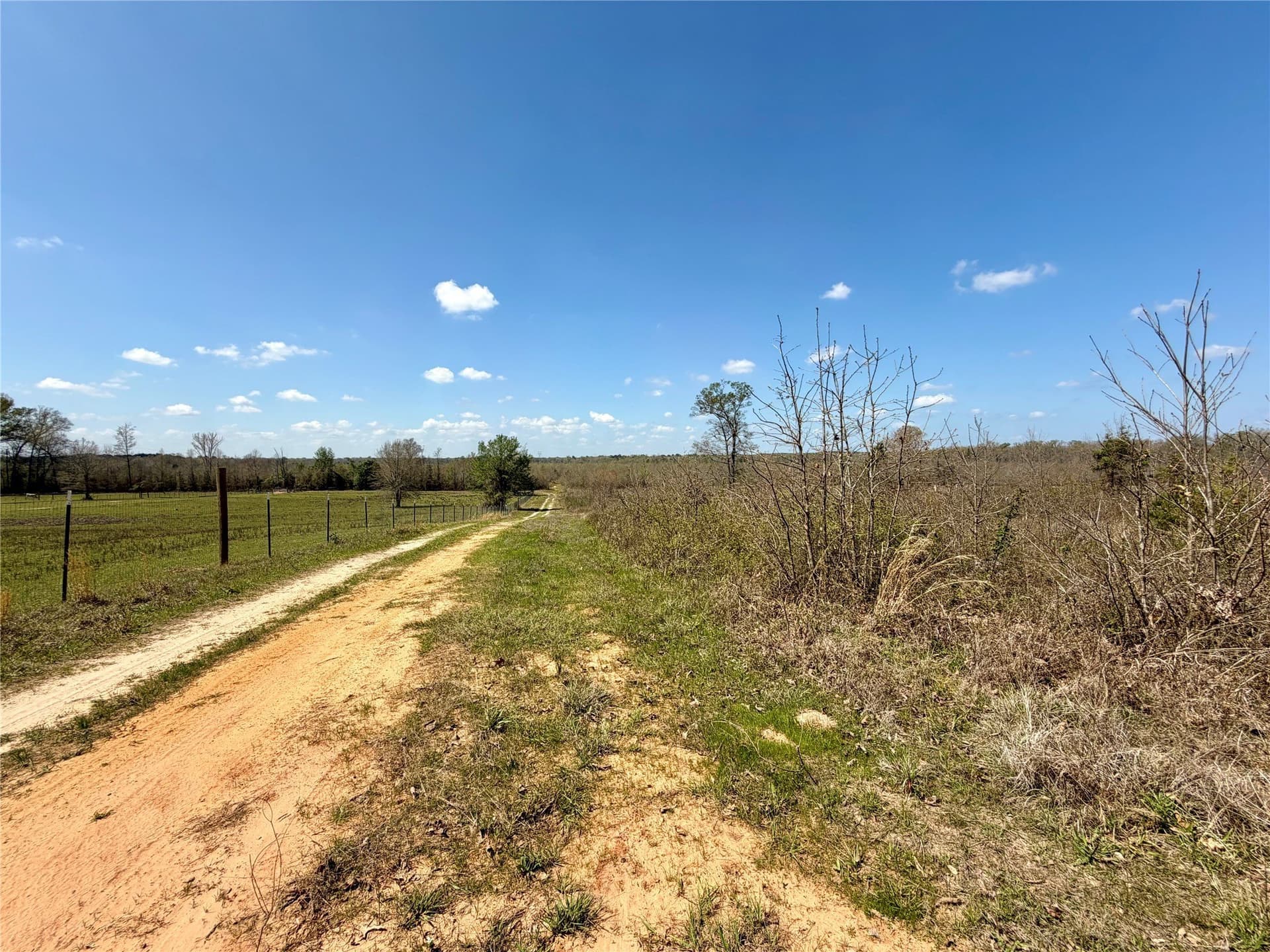 159.7 acres in Harrison County - photo 20