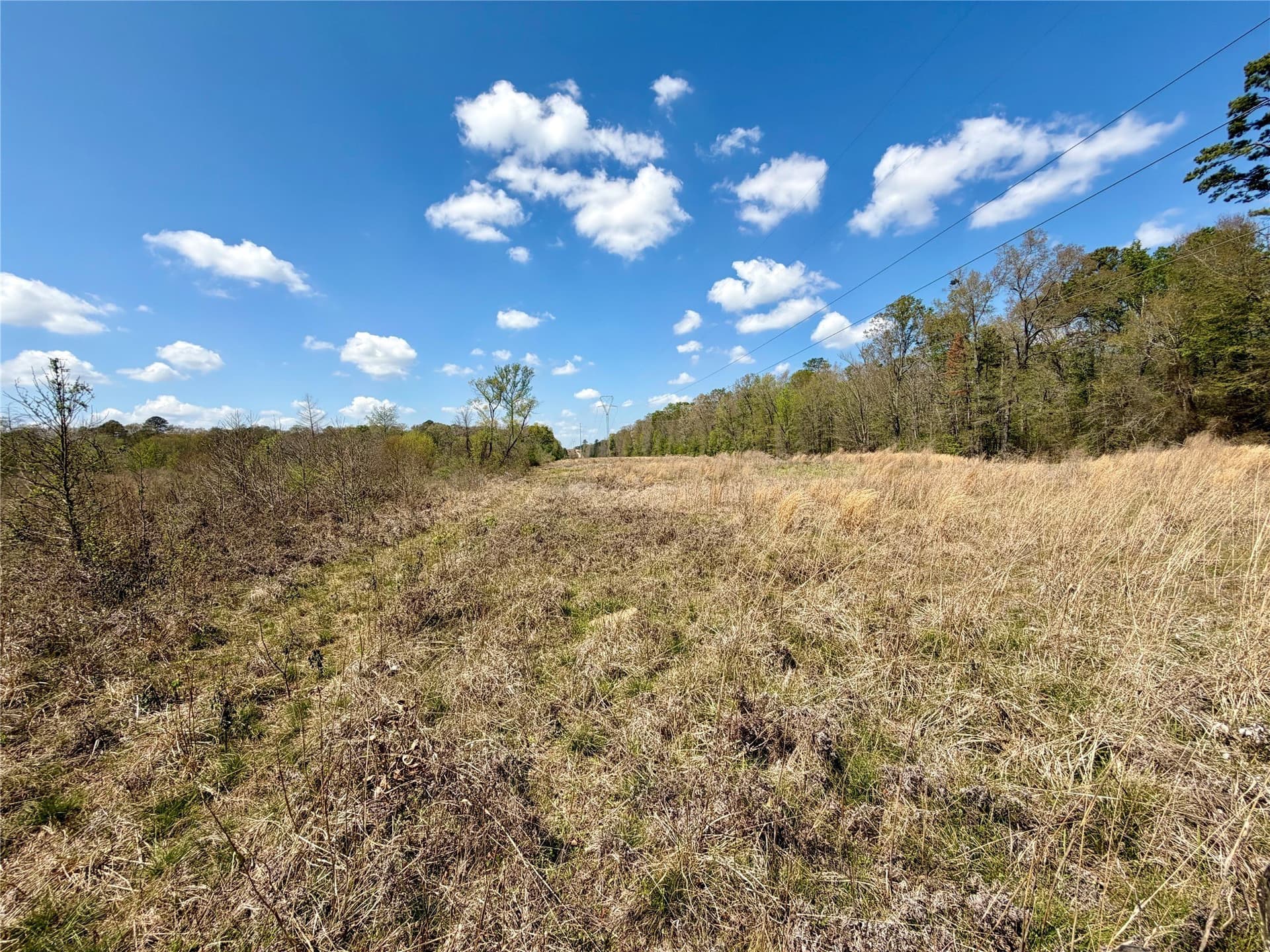 159.7 acres in Harrison County - photo 28