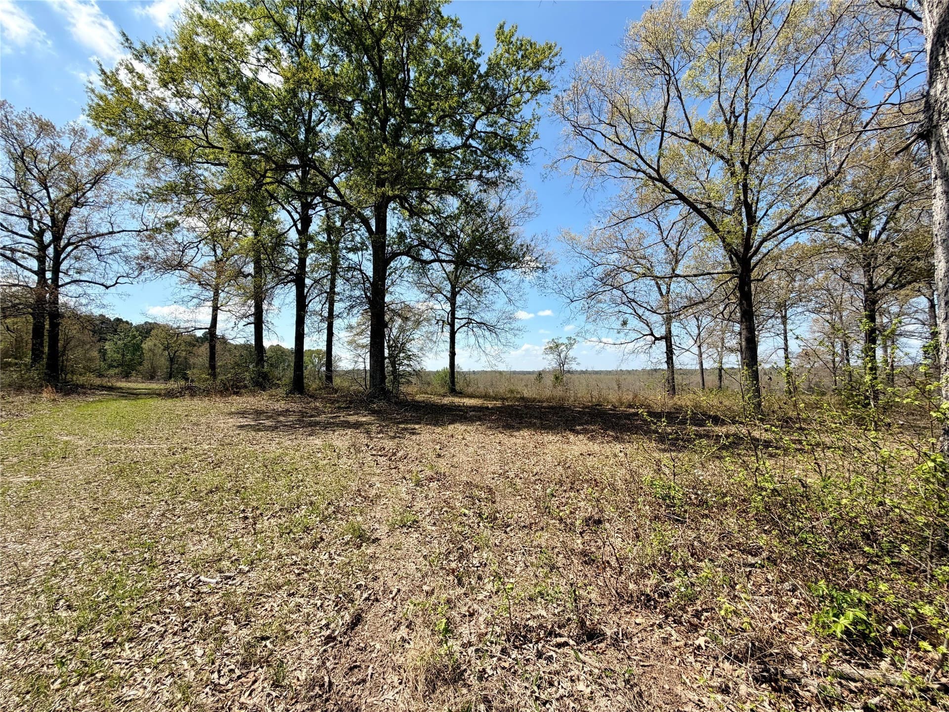 159.7 acres in Harrison County - photo 19