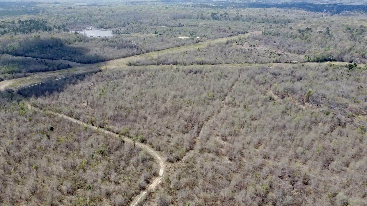 159.7 acres in Harrison County - photo 6