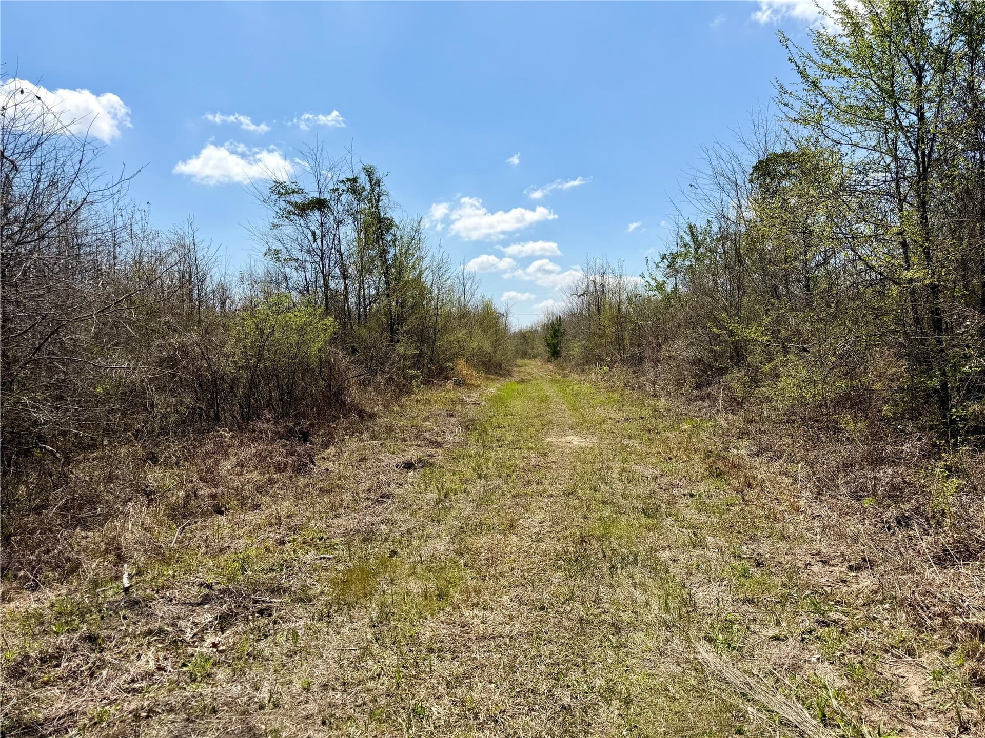 159.7 acres in Harrison County - photo 25