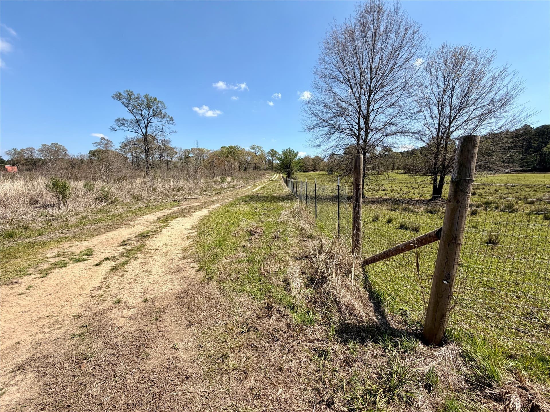 159.7 acres in Harrison County - photo 22