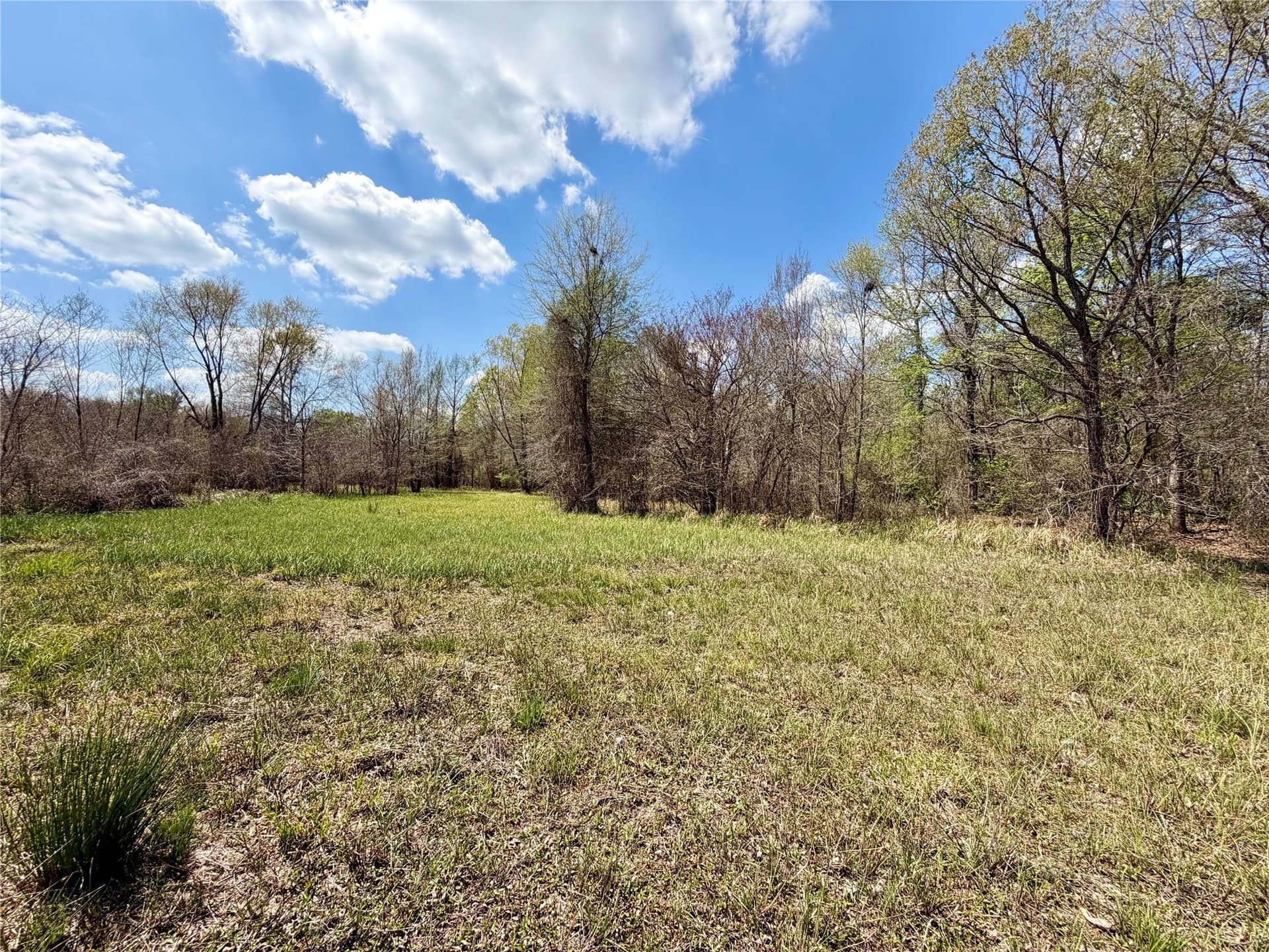159.7 acres in Harrison County - photo 33