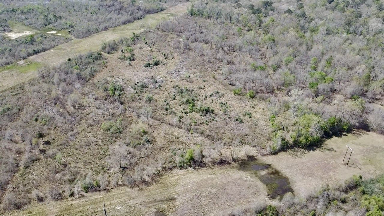 159.7 acres in Harrison County - photo 11