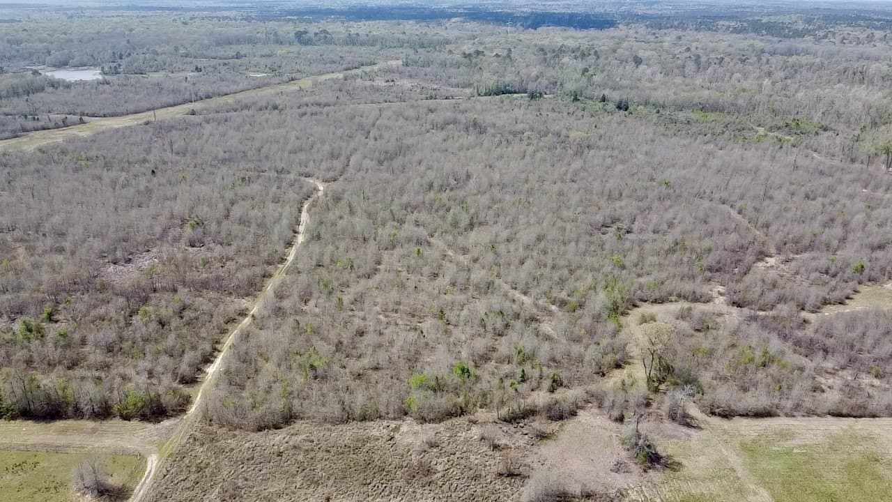 159.7 acres in Harrison County gallery image 4
