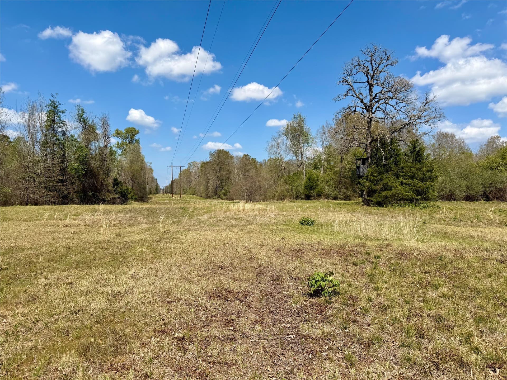 159.7 acres in Harrison County - photo 31