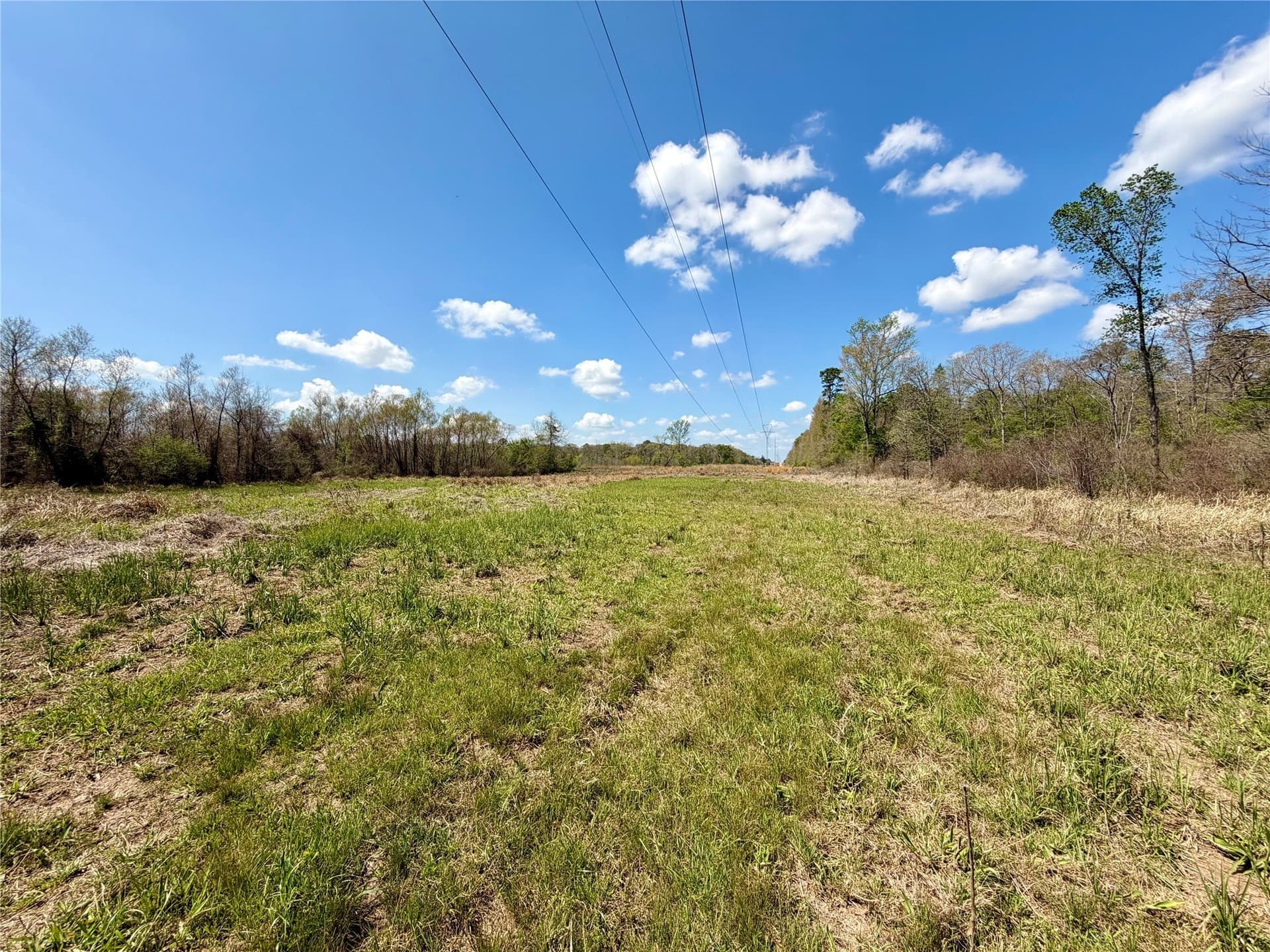 159.7 acres in Harrison County - photo 27