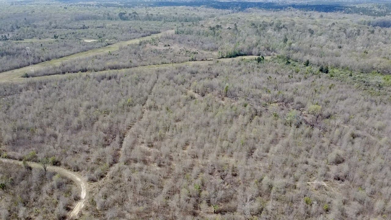 159.7 acres in Harrison County featured view