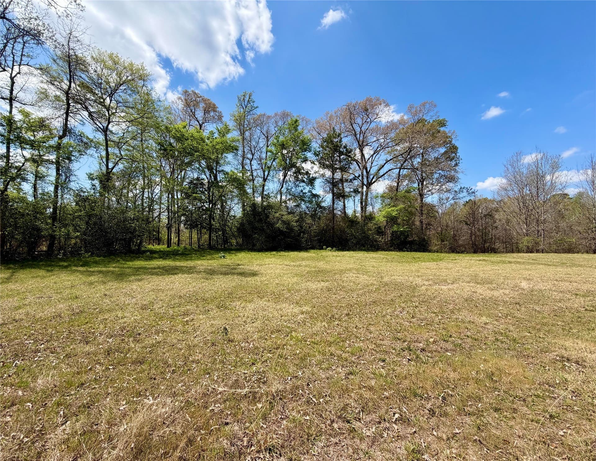 159.7 acres in Harrison County - photo 32