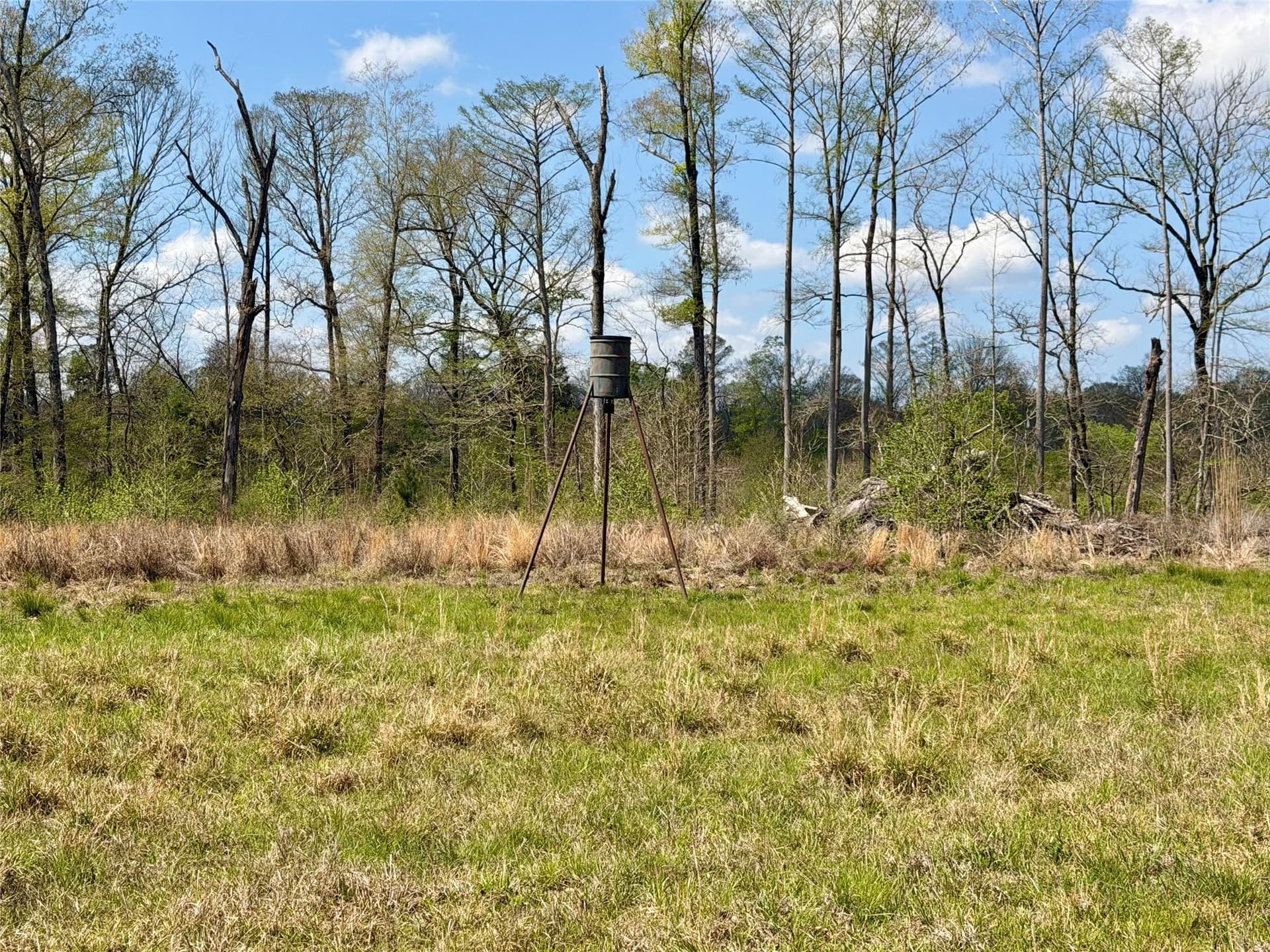159.7 acres in Harrison County - photo 35