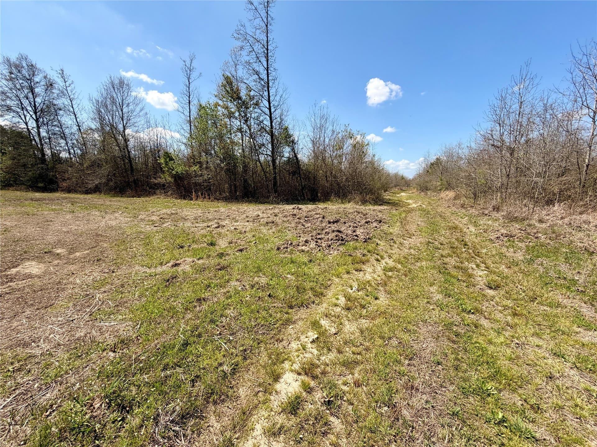 159.7 acres in Harrison County - photo 21